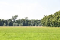 DSC_1308
