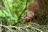 DSC_1114-Medium